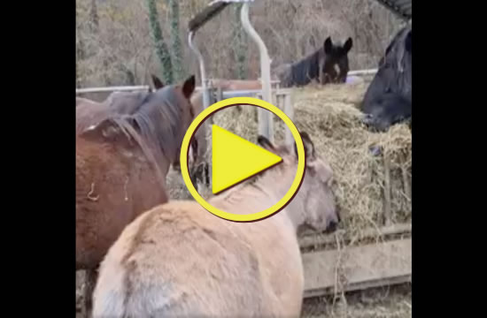 Cascina Borego | Sempre a mangiare