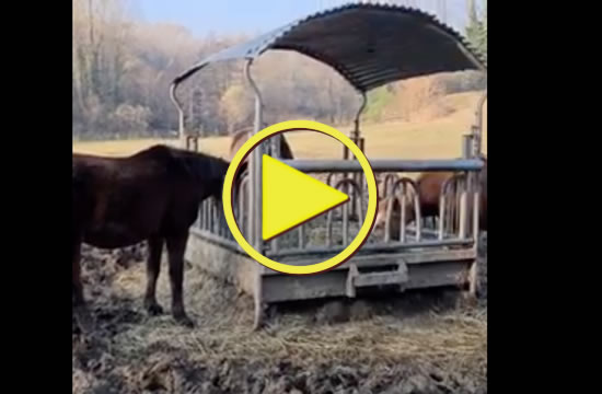 Cascina Borego | Vista della Cascina